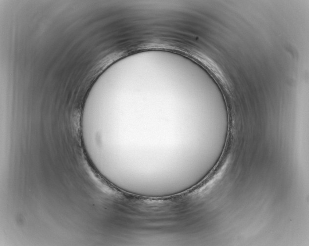 X0000111600849200907161212
