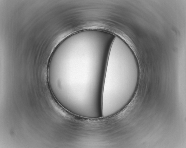 X0000111600850200907161212