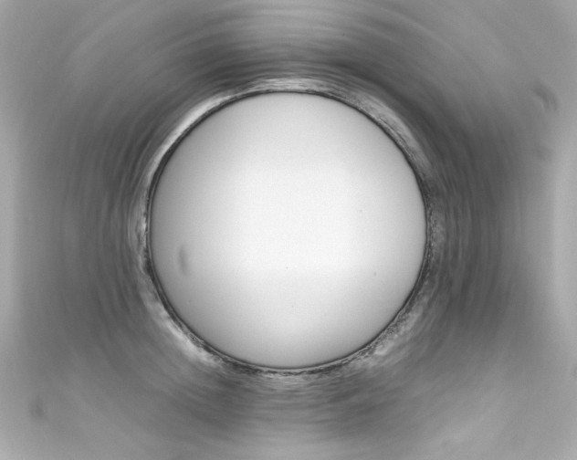 X0000111600852200907161212