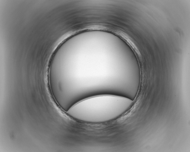 X0000111600853200907161212