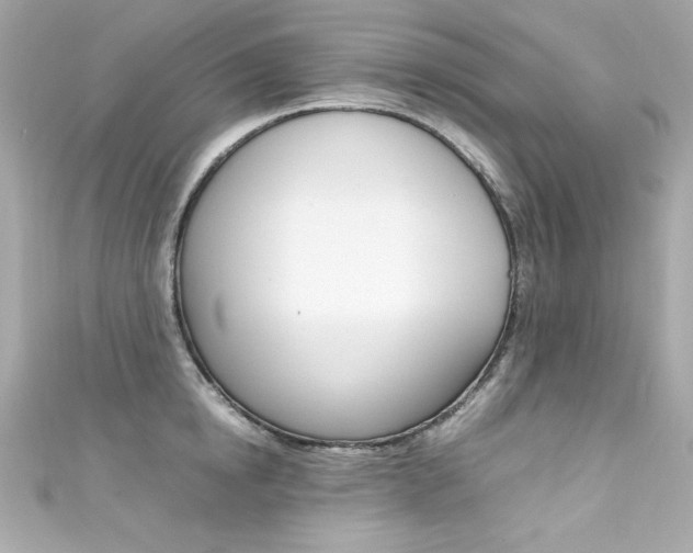 X0000111600854200907161212