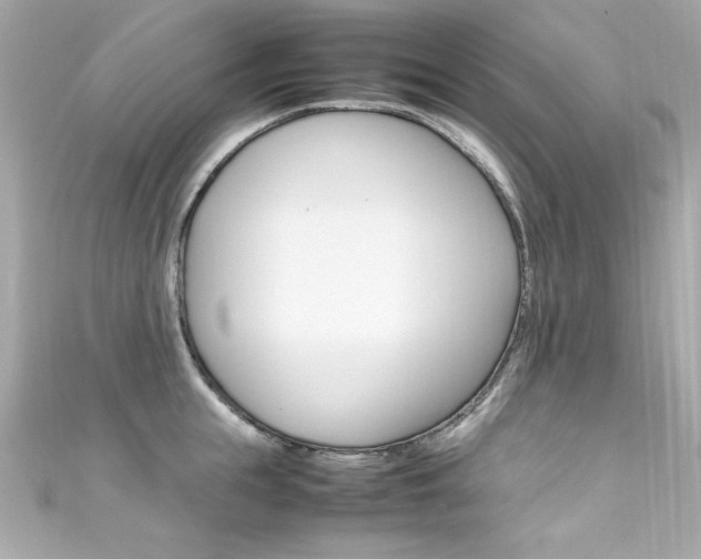 X0000111600855200907161212