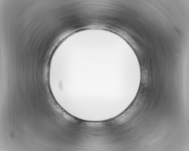 X0000111600856200907161212