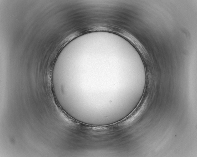X0000111600857200907161212