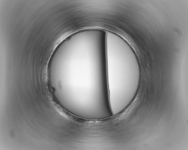 X0000111600858200907161212