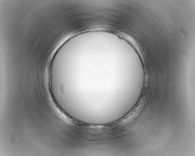 X0000111600859200907161212