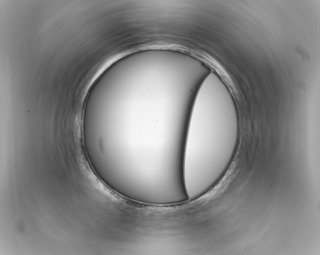 X0000111600860200907161212