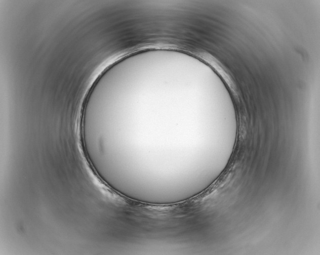 X0000111600861200907161212
