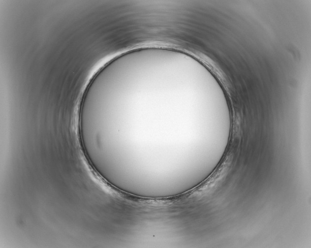 X0000111600862200907161212