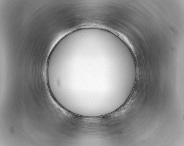 X0000111600863200907161212