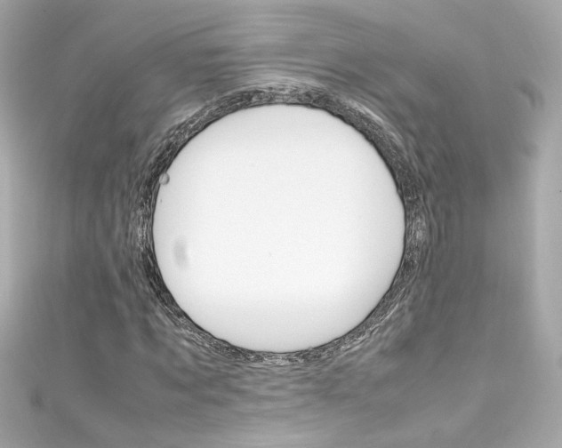 X0000111600869200907161212