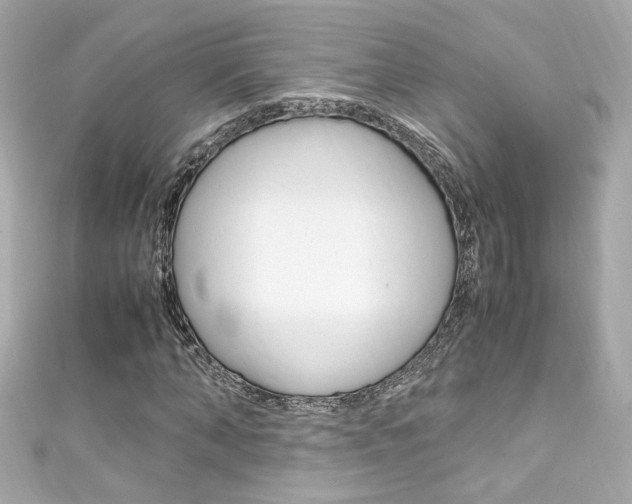X0000111600870200907161212