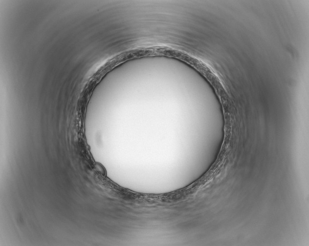 X0000111600871200907161212