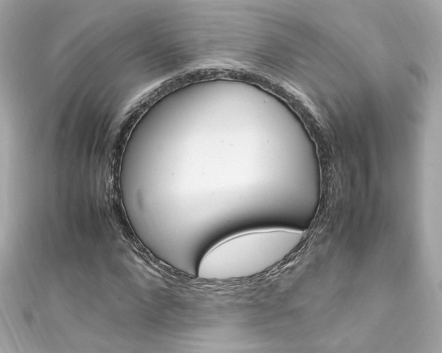 X0000111600872200907161212
