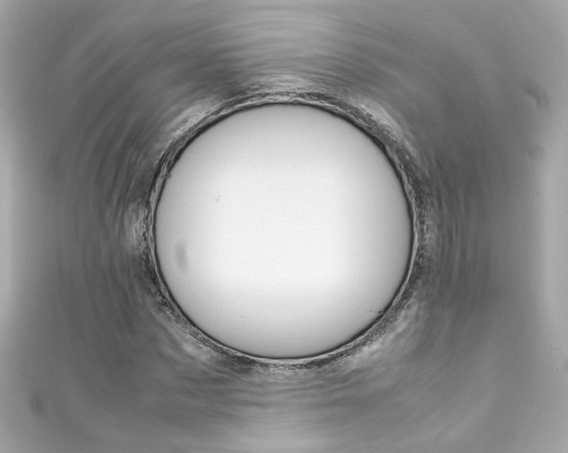 X0000111600873200907161212