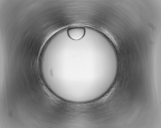 X0000111600876200907161212