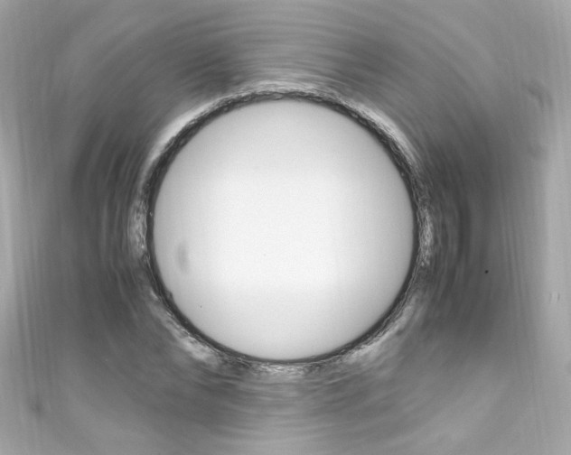 X0000111600878200907161212