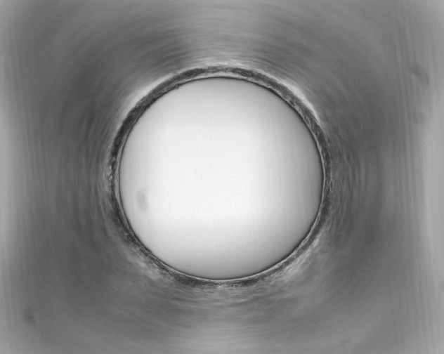 X0000111600879200907161212