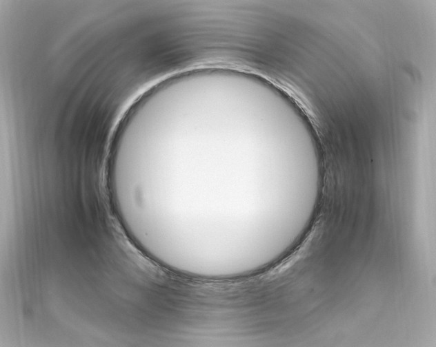 X0000111600880200907161212