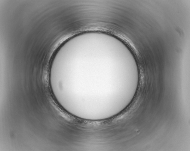 X0000111600882200907161212