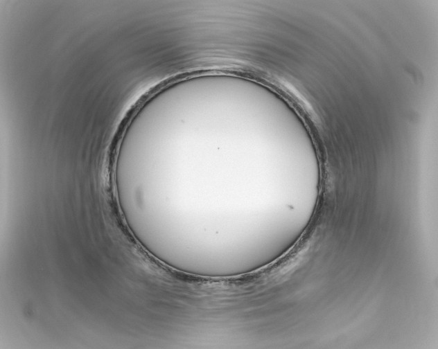 X0000111600883200907161211