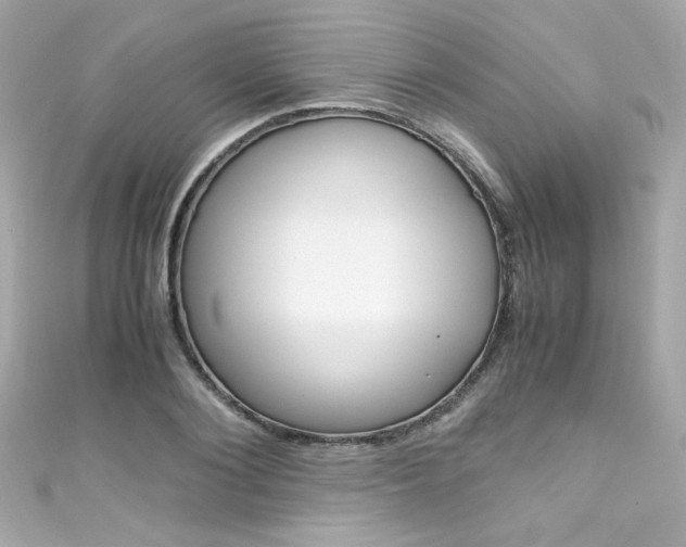 X0000111600884200907161211