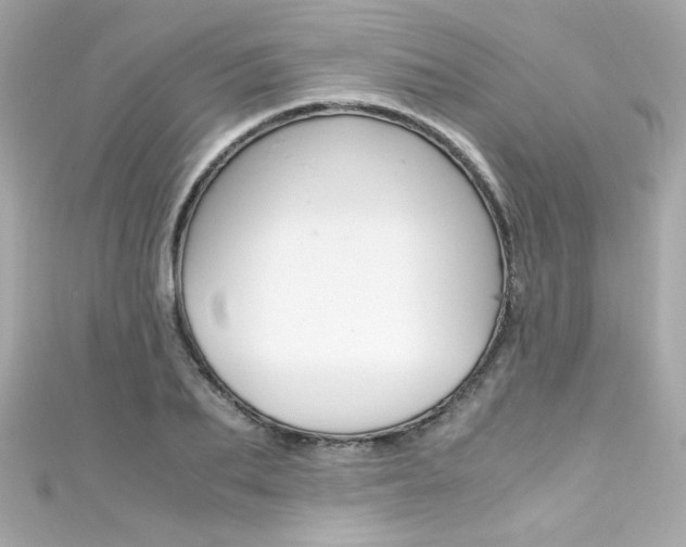 X0000111600887200907161211