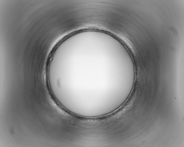 X0000111600888200907161211
