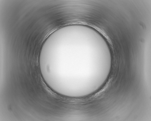 X0000111600889200907161211