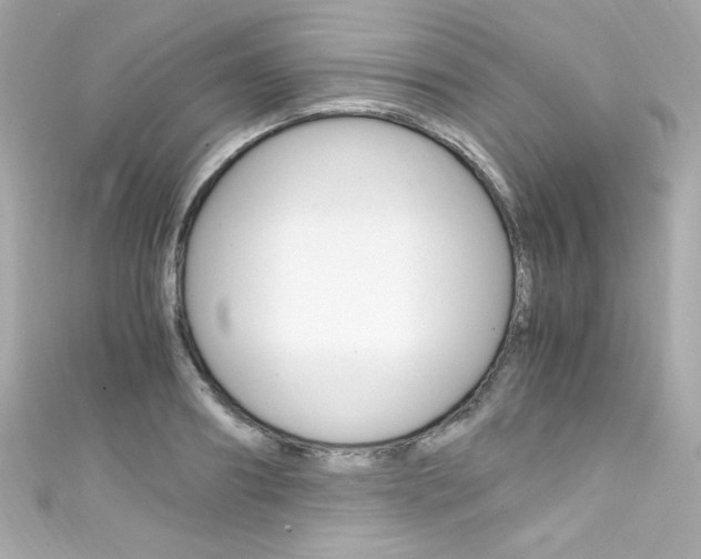 X0000111600890200907161211