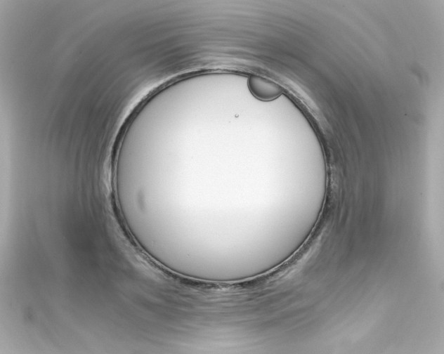 X0000111600891200907161211