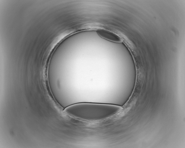 X0000111600893200907161211