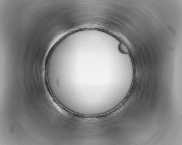 X0000111600894200907161211