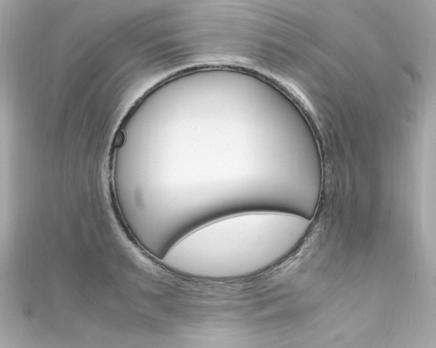 X0000111600895200907161211