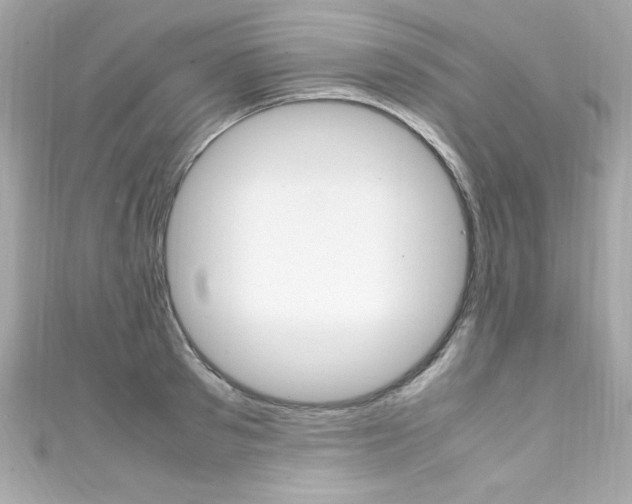 X0000111600897200907161211