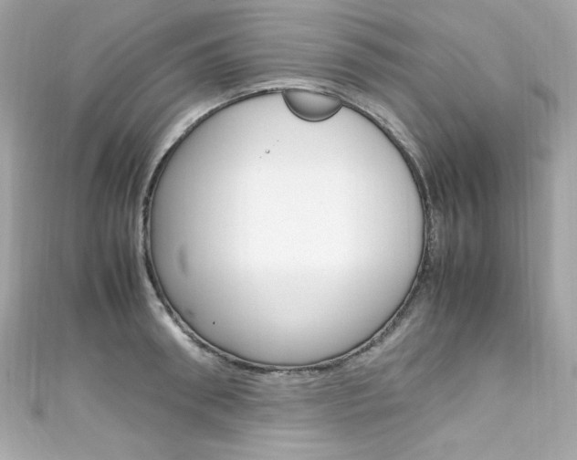 X0000111600898200907161211