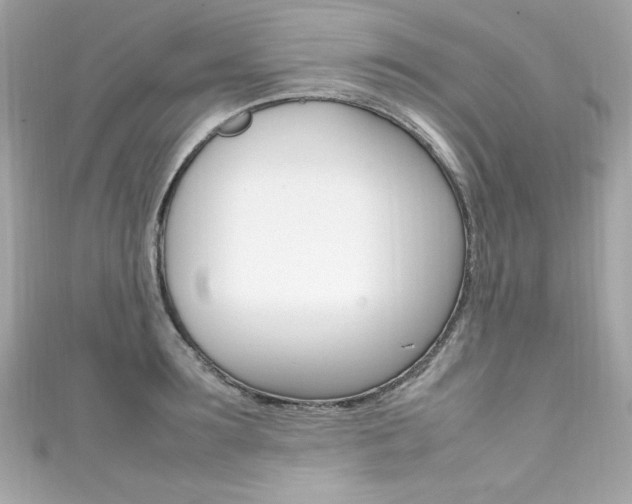X0000111600899200907161211
