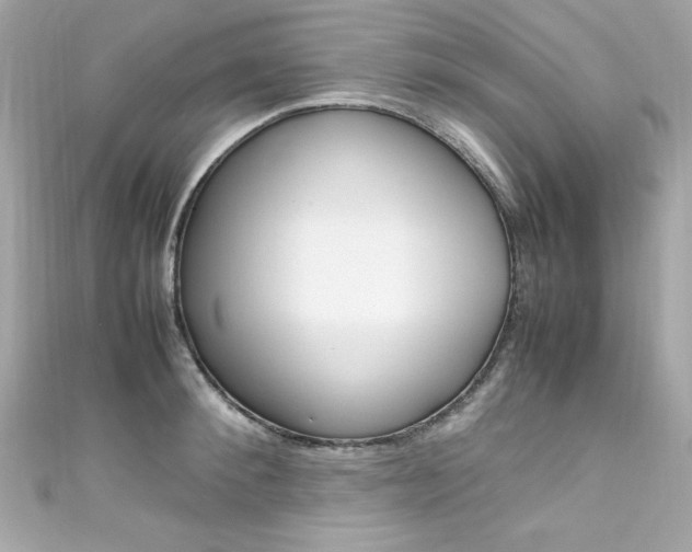 X0000111600900200907161211