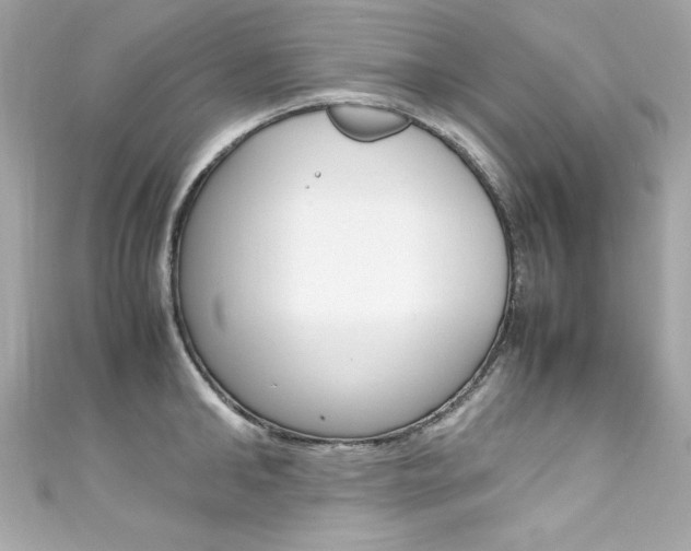 X0000111600902200907161211