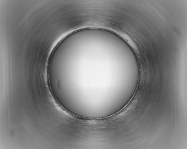 X0000111600904200907161211