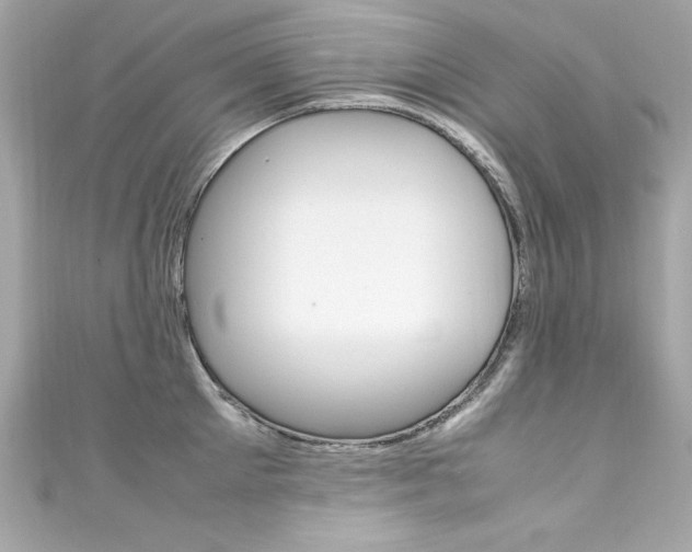 X0000111600905200907161211