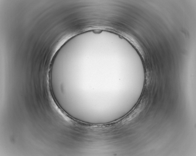 X0000111600906200907161211