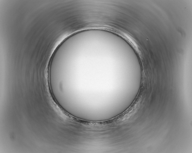 X0000111600907200907161211