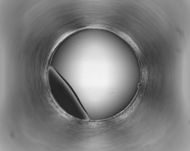 X0000111600908200907161211