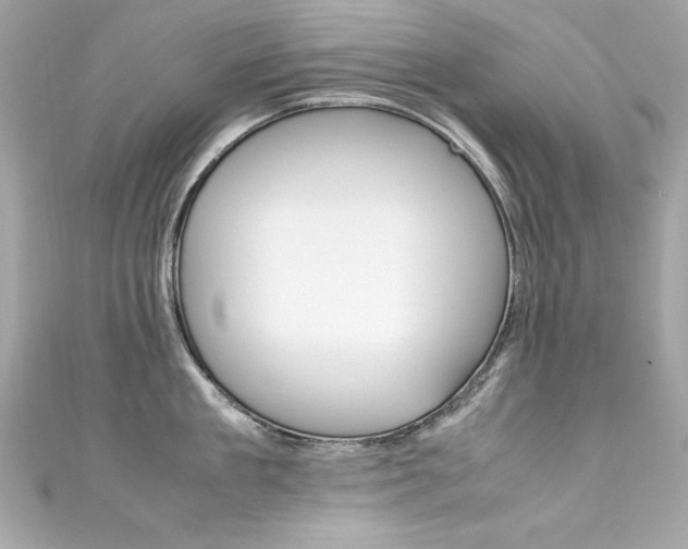 X0000111600909200907161211