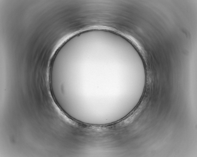 X0000111600910200907161211