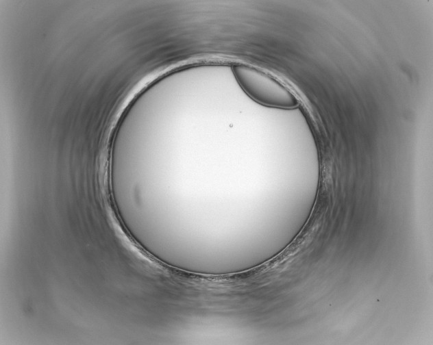 X0000111600911200907161211