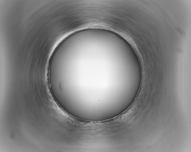 X0000111600912200907161211