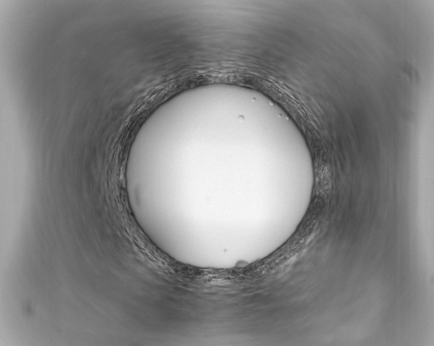 X0000111600913200907161210