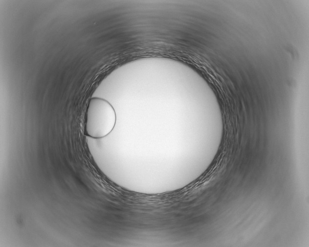 X0000111600916200907161210
